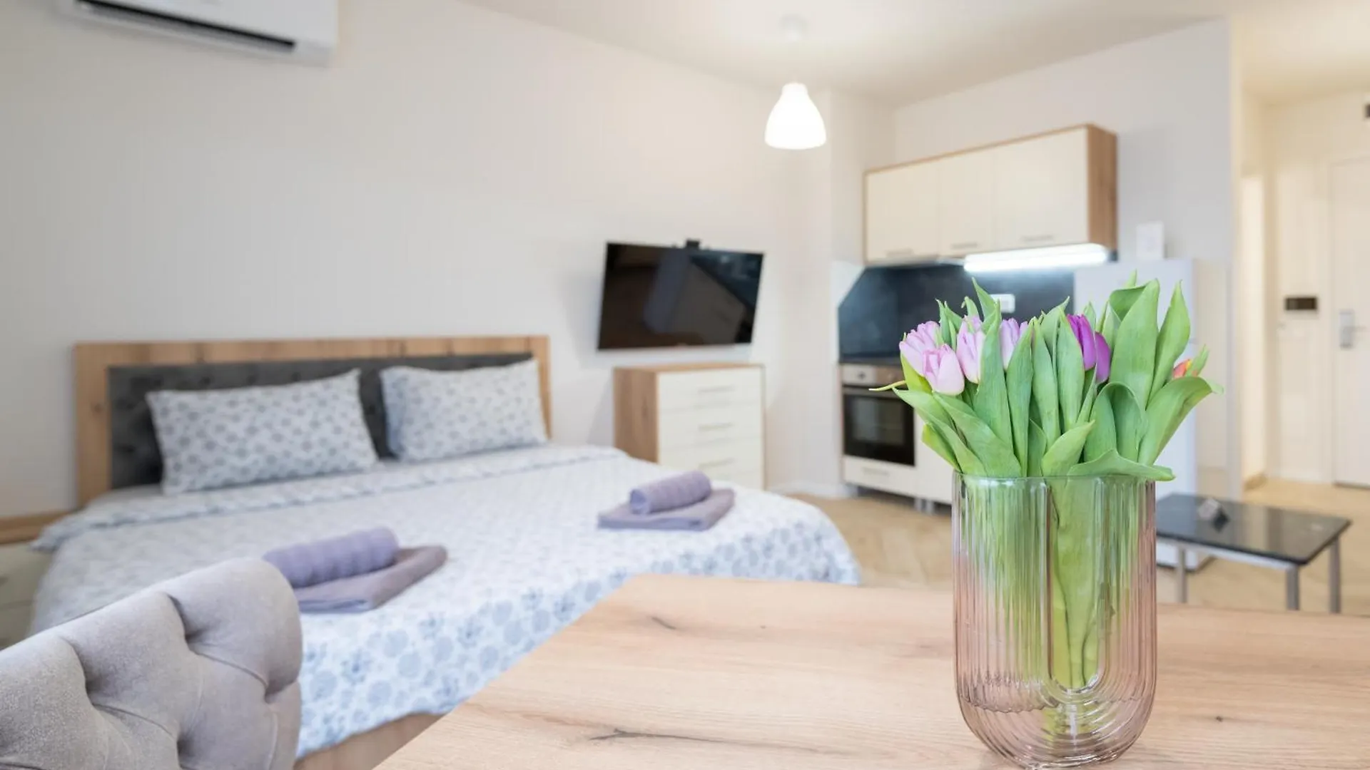 Apartment Wow Studios For Rent 2 Bul Montevideo 25A - B Sofia